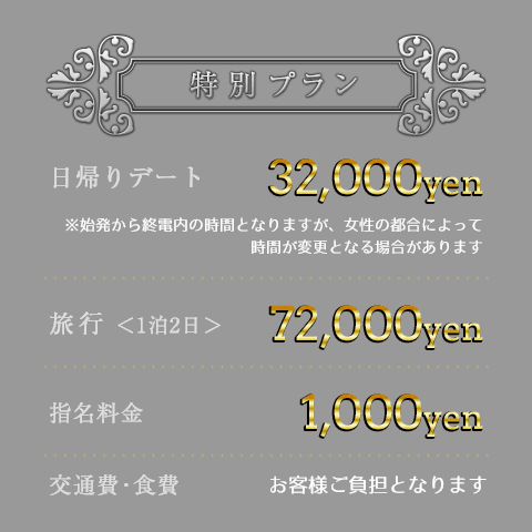 料金表:特別プラン
